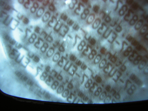 Mikropötty közelről